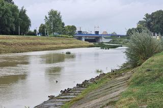 Interwencje podkarpackich strażaków po burzach. Trwa usuwanie skutków ulewnych deszczów