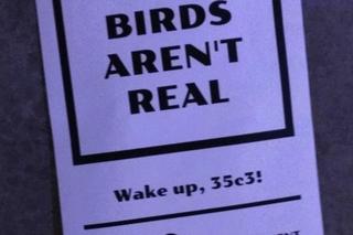 Birds aren't real