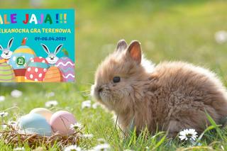 Wielkanocna zabaw w warszawskim ZOO! Odszukaj ,,jajeczne'' zagadki i zdobądź niespodziankę