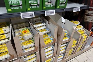 Porównanie cen w Lidlu na Litwie i w Polsce