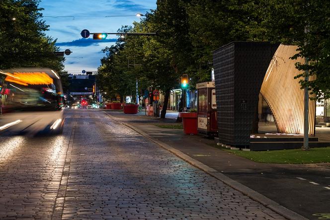 Projektowanie parametryczne i drewno - tymczasowy pawilon Pauhu