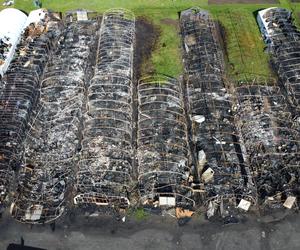 Gigantyczny pożar w Czaczu! Spłonęły magazyny antyków [ZDJĘCIA]