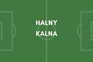 Halny