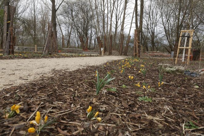 W Warszawie powstaje drugie "lapidarium". Miasto nie usunie betonowych odpadów. "To artefakty"