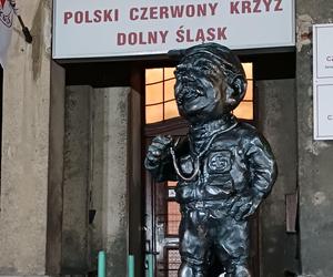 Nowy krasnal we Wrocławiu. Sprawdź, gdzie go znajdziesz