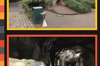 Nowe atrakcje w łódzkim zoo