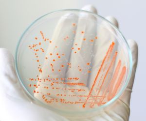 Helicobacter pylori - badania. Testy wykrywające bakterię H. pylori