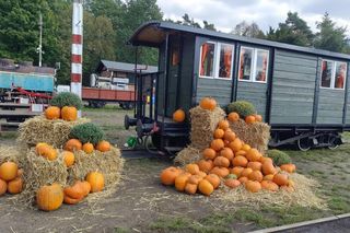 Dyniowa Stacja Rudy i Pumpkin Express
