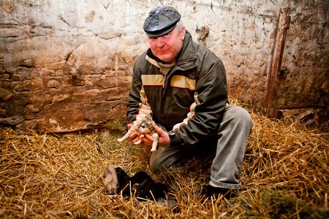 Mika urodziła 16-sto raczki