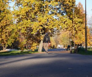 Park Ludowy w listopadowej odsłonie!