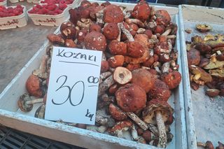 Ceny grzybów 2024 w Krakowie