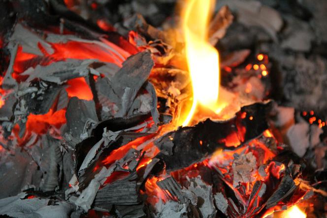 Wstępnie ustalono, że przyczyną pożaru prawdopodobnie było zaprószenie ognia