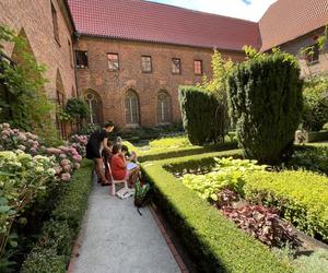 Muzeum Architektury we Wrocławiu