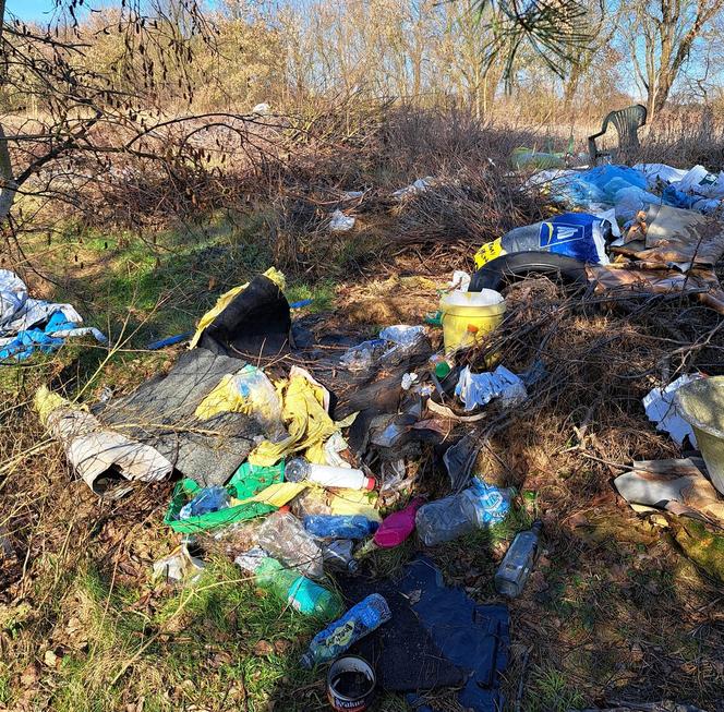 Tona śmieci na działkach pod Gorzowem. Burza w sieci