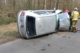 28-latka rozbiła samochód na drzewie. Prawo jazdy miała od 3 miesięcy