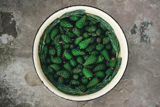 Syrop z zielonych szyszek sosny