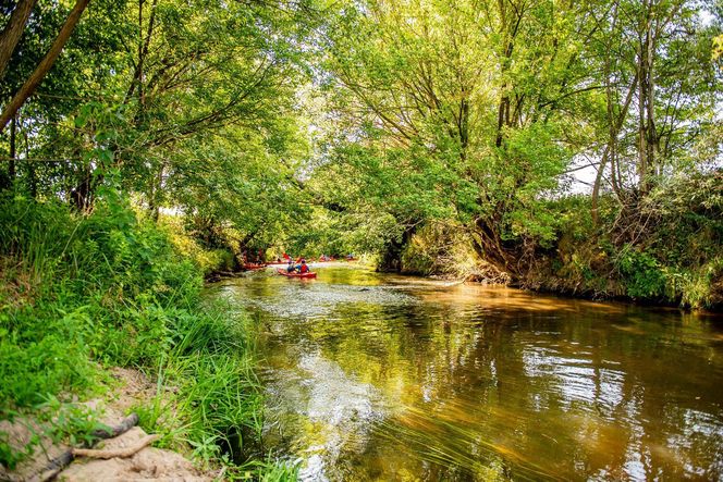 Spływ kajakowy rzeką Czarną w Połańcu