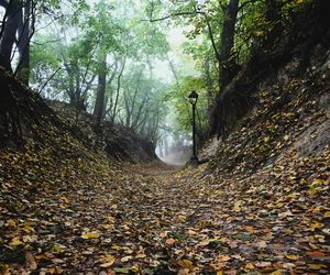 Sandomierz w jesiennej szacie z lotu ptaka