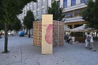 Różowe grzyby na placu Pięciu Rogów w Warszawie. Intrygujące rusztowanie, przechodnie w szoku