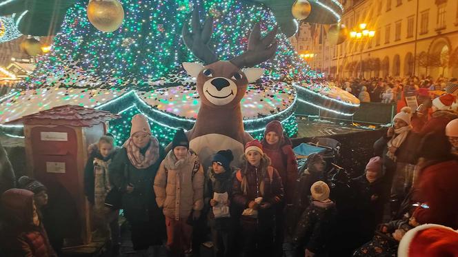 Ale blask! Choinka we Wrocławiu już świeci! Świątecznie rozświetliła cały Rynek [ZDJĘCIA]