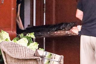  Imieniny Anny Komorowskiej