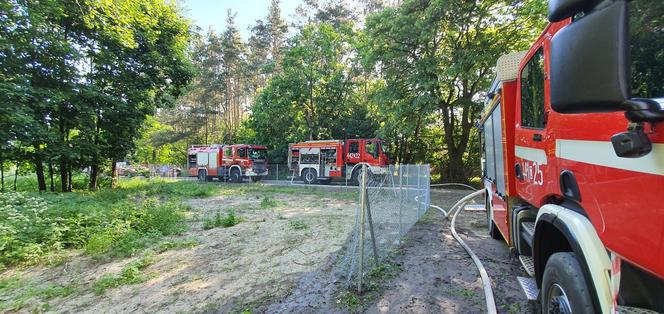 Gigantyczny pożar domu w Grudziądzu! Na miejscu 13 zastępów straży pożarnej [ZDJĘCIA]