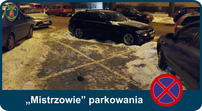 Mistrzowie parkowania. Tak kierowcy parkują w Warszawie