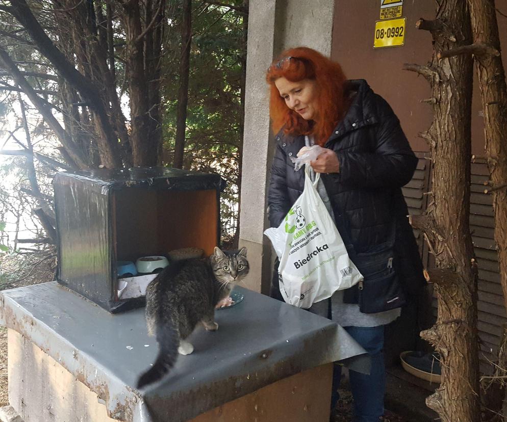 Pomaga bezinteresownie wolno żyjącym kotom w Lesznie od 15 lat. Pani Magdalena i jej podopieczni 