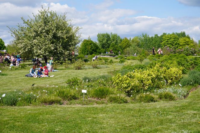 Ogród Botaniczny w Kielcach