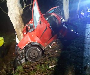 Auto rozbiło się na drzewie. Paweł, Arek i Artur nie żyją. Wcześniej kupili alkohol