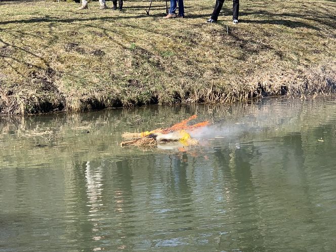 Lublinianie pożegnali zimę i powitali wiosnę! W Ogrodzie Botanicznym odbyło się topienie Śmiercichy