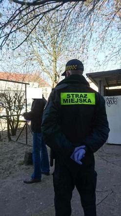 Czy poznaniacy stosują się do zakazów? Zaskakujące dane Straży Miejskiej! [ZDJĘCIA]