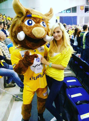 Vive Kielce, PGE Vive Kielce, kibicki Vive Kielce