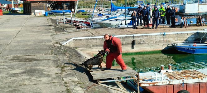 ćwiczenia nad Zalewem Sulejowskim