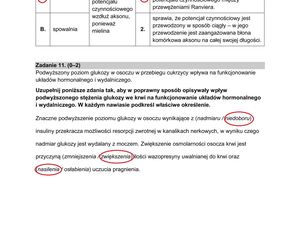 Matura 2025: biologia 9.05.2025. Arkusze CKE i odpowiedzi [Formuła 2015]