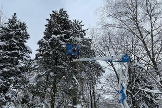 Lubelskiej tradycji stało się zadość. Choinka na LSM-ie już ubrana