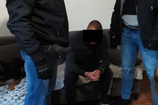 Kibole zatrzymani po meczu Elana Toruń - Zawisza Bydgoszcz