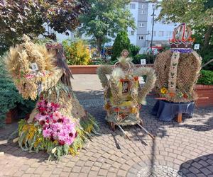 Dożynki województwa pomorskiego zbliżają się wielkimi krokami