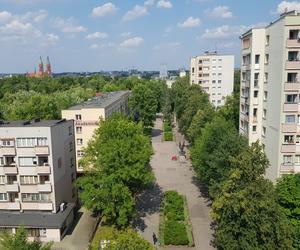 Odwiedziliśmy Letnią Czytelnię Książnicy Podlaskiej. Piękny widok na panoramę Białegostoku [ZDJĘCIA]