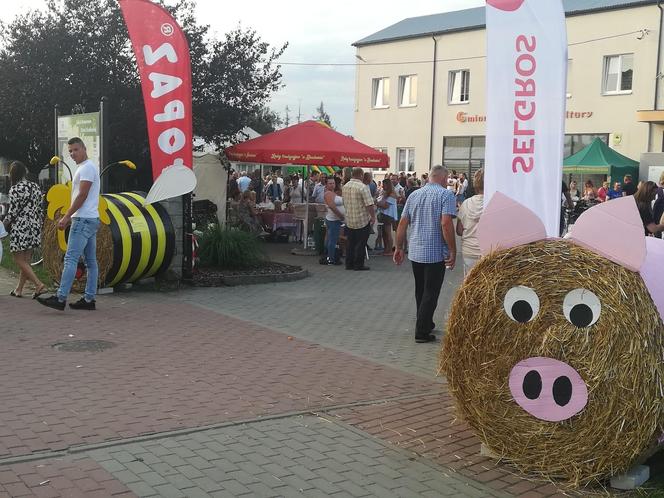 Gmina Siedlce, koncerty na dożynkach w Strzale – zdjęcia 