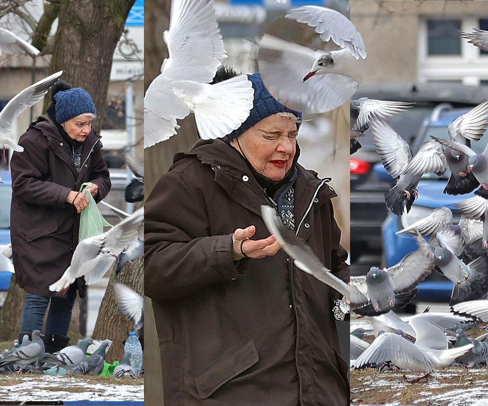 Anna Chodakowska. Gwiazda Labiryntu wśród ptaków