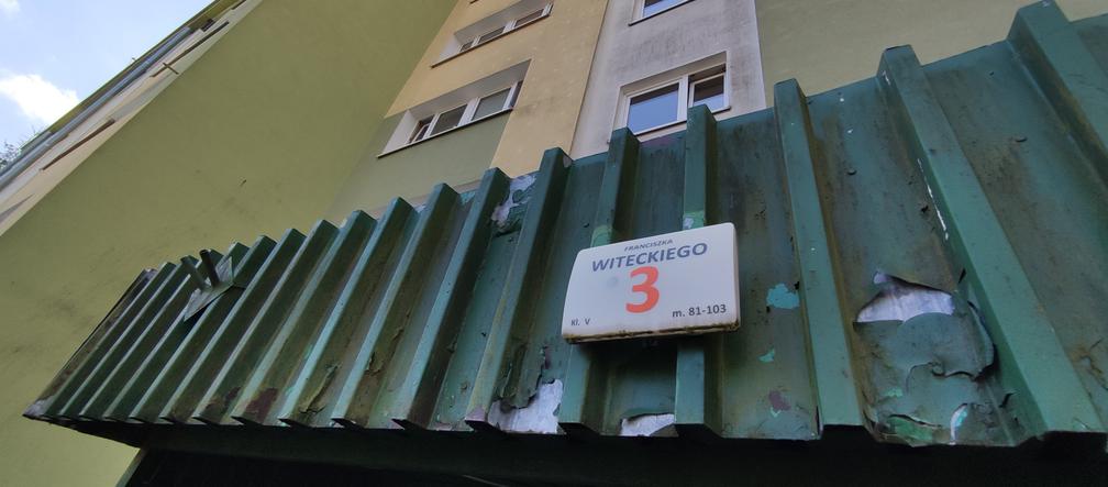 Karaluchy straszą mieszkańców bloku przy ulicy Witeckiego 3 w Bydgoszczy 