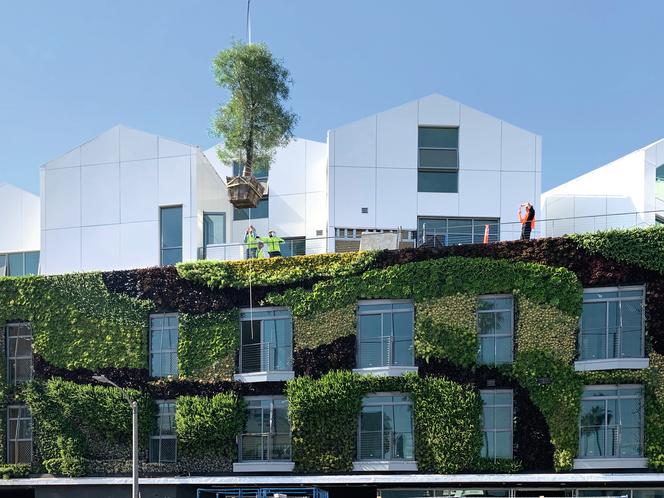 Budynek mieszkalny Gardenhouse w Los Angeles_MAD Architects_24