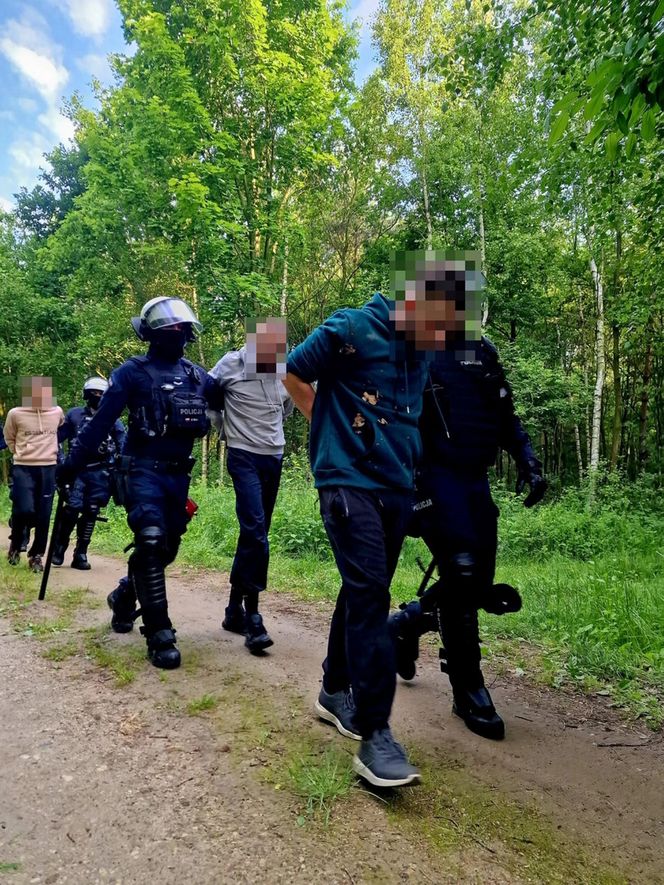 Ustawka udaremniona! Policjanci gonili kiboli po lesie!
