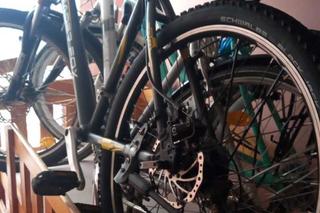 Jeden był za szafką, drugi pod łóżkiem. Lubelscy policjanci zatrzymali bliźniaków poszukiwanych listami gończymi