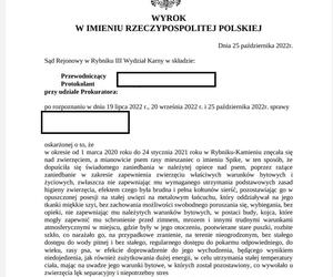 Rybnik: Właścicielka Dropsika skazana. Psiak przeżył z nią prawdziwe piekło