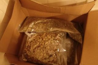 Policjanci zabezpieczyli u 28-latka kilka tysięcy porcji dilerskich