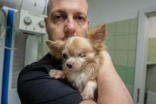 Mały Stefcio stracił oko