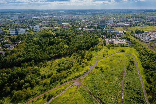 Katowice wybudują cztery nowe parki. Za 45 mln zł
