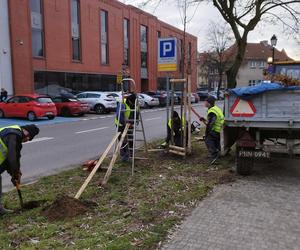 Antybetonoza w centrum miasta